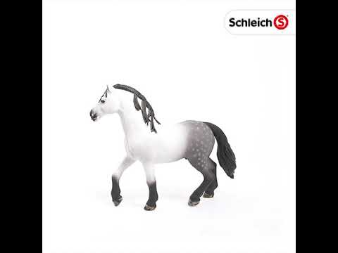 Schleich andalusian hot sale stallion