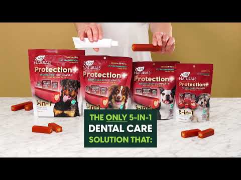 Dog brushless clearance toothpaste