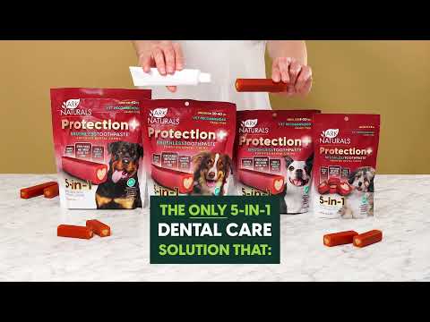 Ark Naturals Brushless Toothpaste Protection Plus Mini Dog Chew 4 oz.