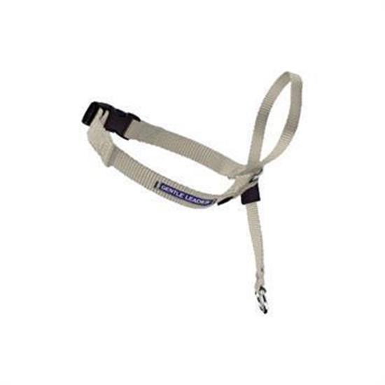 Gentle leader training clearance collar