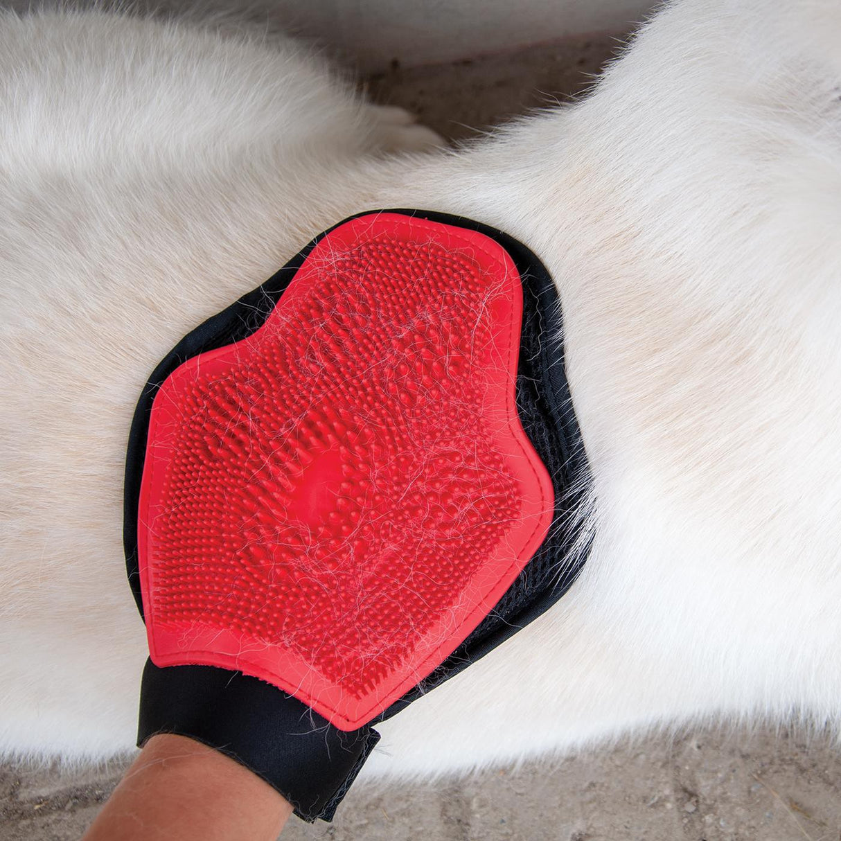 Shedrow K9 Grooming Glove