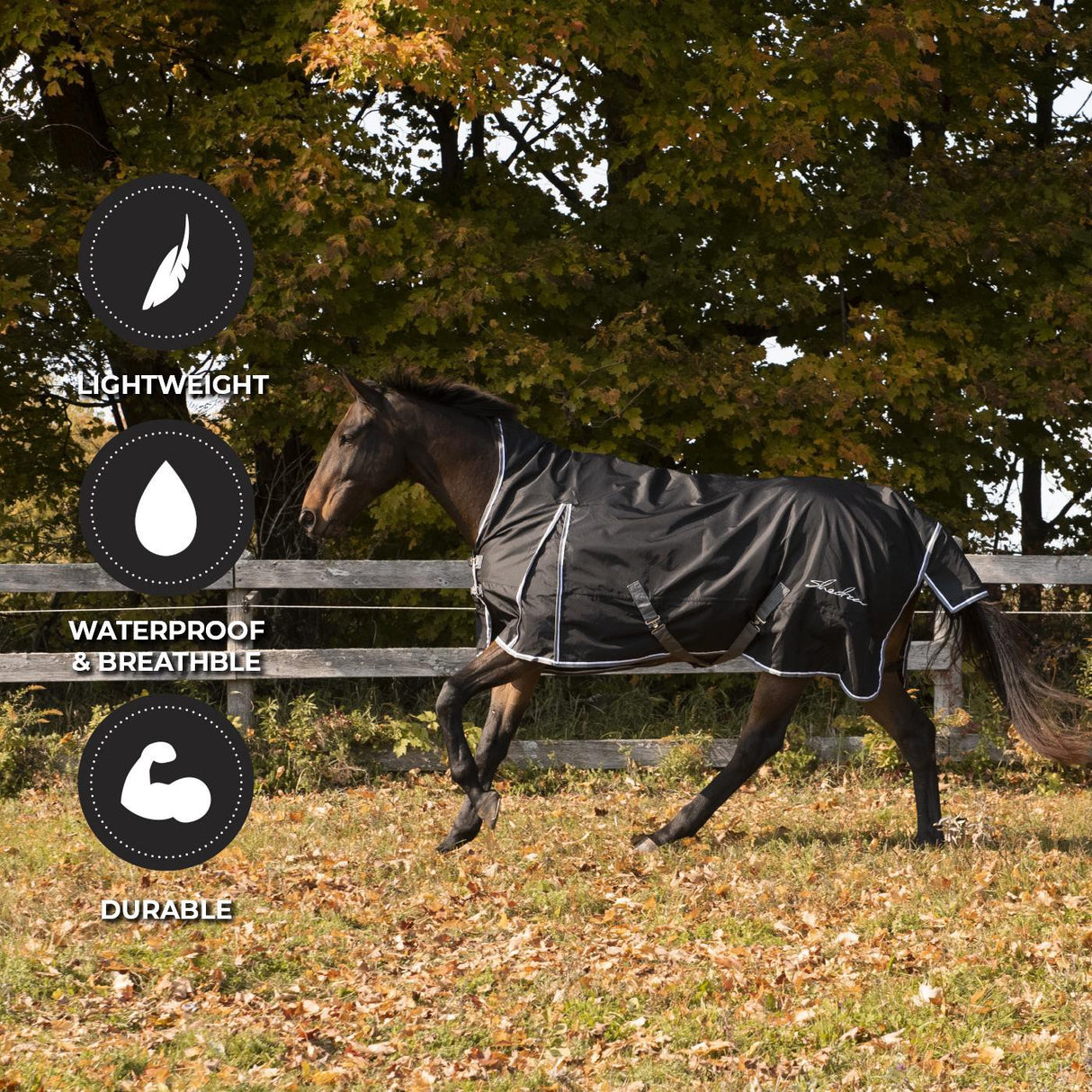Shedrow Comfort Neck Rainsheet – Greenhawk Equestrian Sport