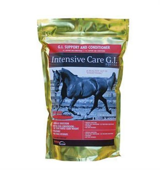 Summit Calor Stable Blanket 100 g