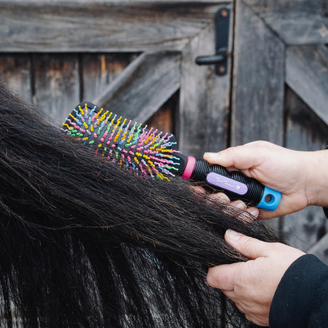 Tail Tamers Curved Handle Rainbow Brush