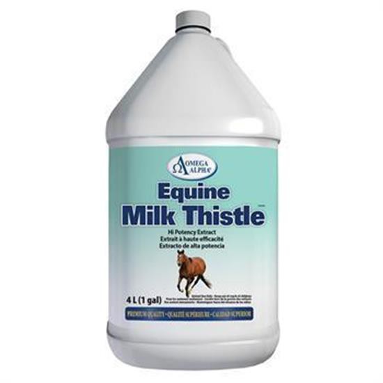 Omega Alpha Milk Thistle Gallon