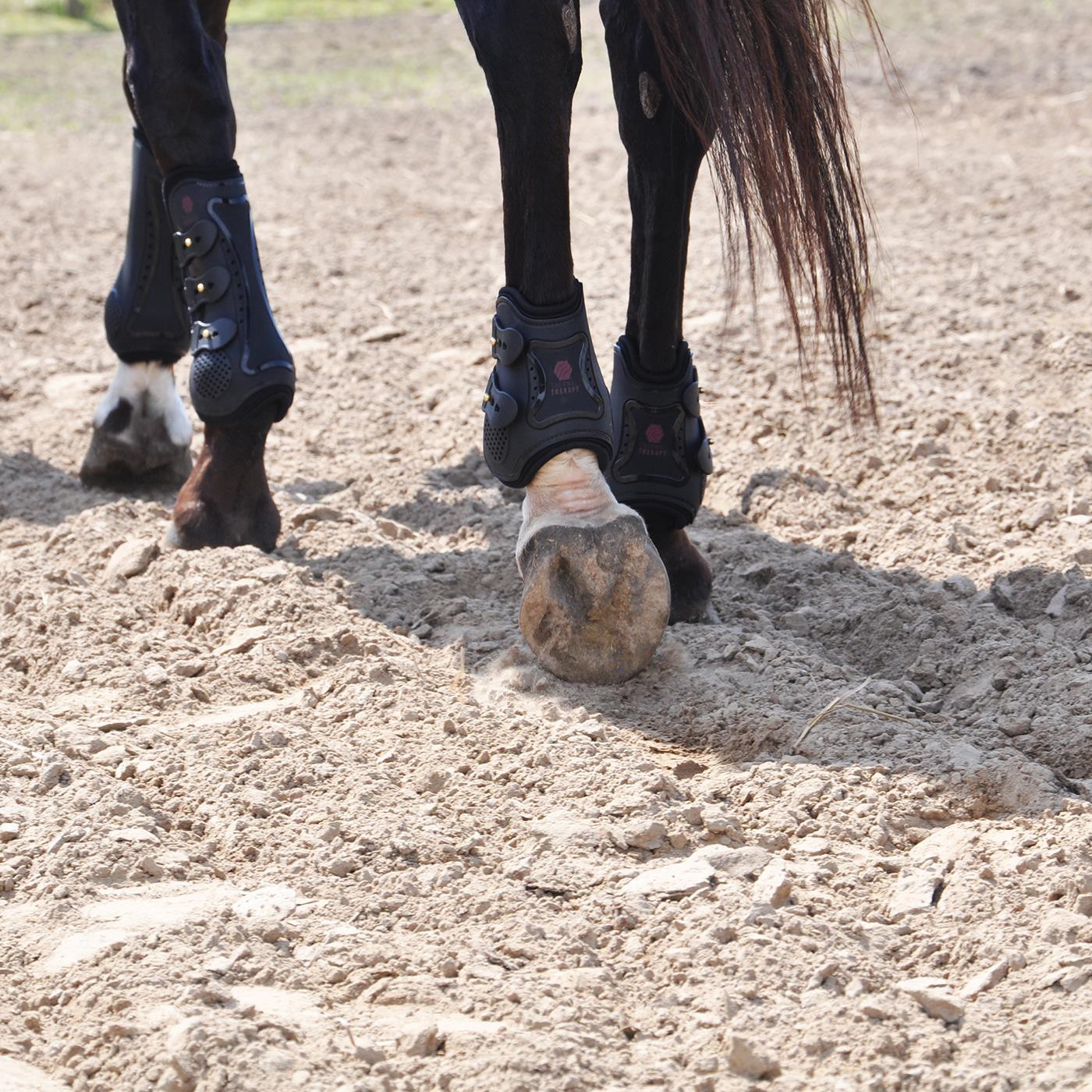 Bottines discount de cheval