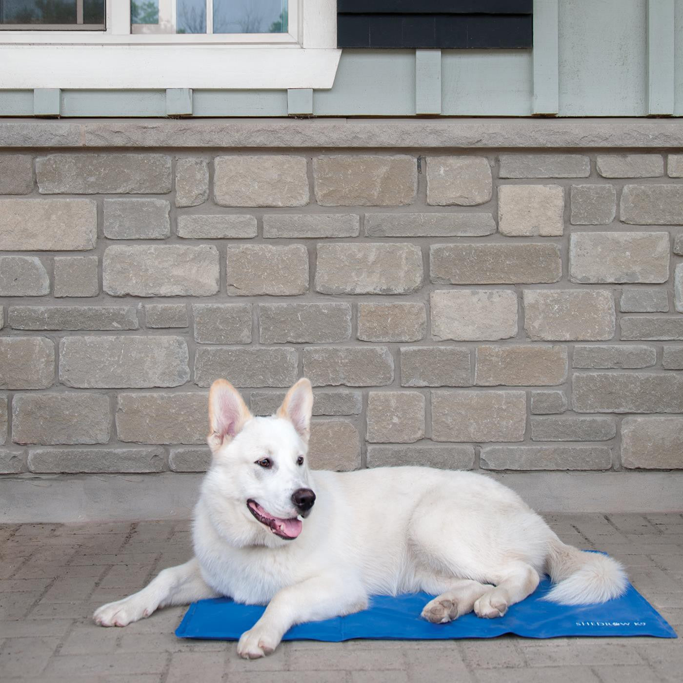 K9 cooling store mat