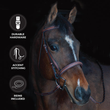 Connemara Padded Fancy Stitched Bridle