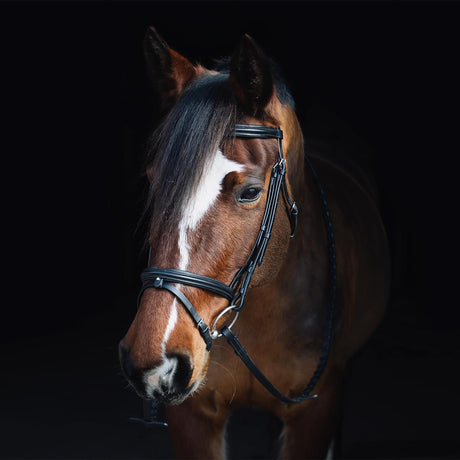 Val du Bois Padded Dressage Bridle with Removable Flash