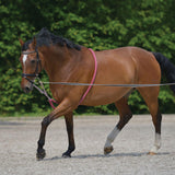 Waldhausen Lunging Aid