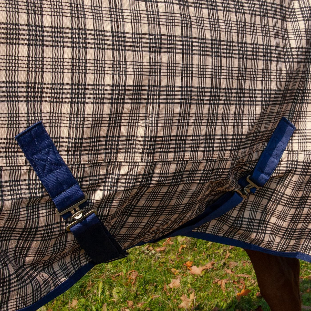 Horse Blanket Rear Leg Straps Kensington - Blanket Accessories, Blankets  Sheets, Supplies Tack