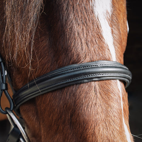 Val du Bois Padded Dressage Bridle with Removable Flash