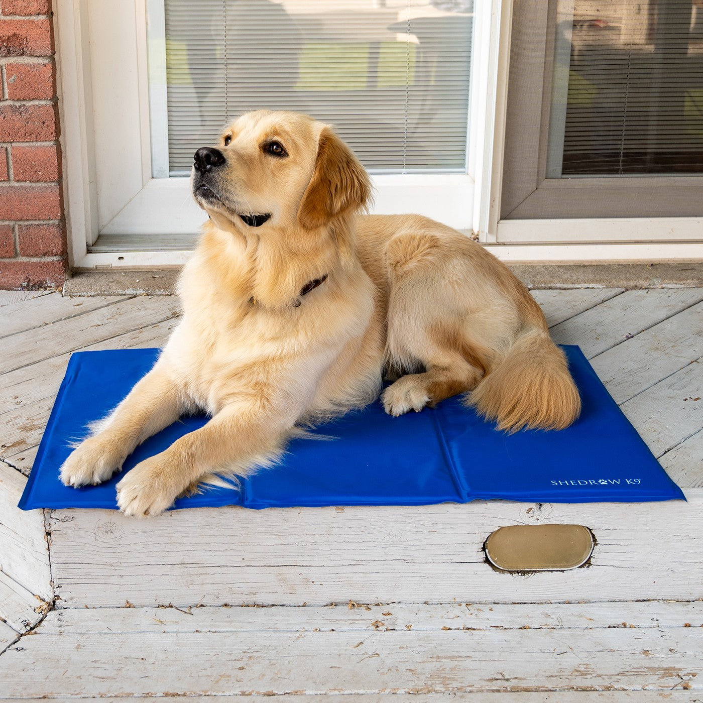 Shedrow K9 Dog Cooling Mat Greenhawk Equestrian Sport