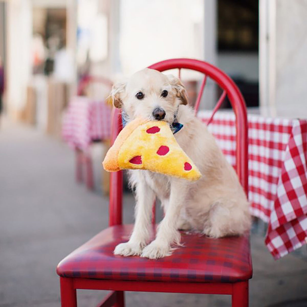 ZippyPaws Squeakie Emojiz Pizza