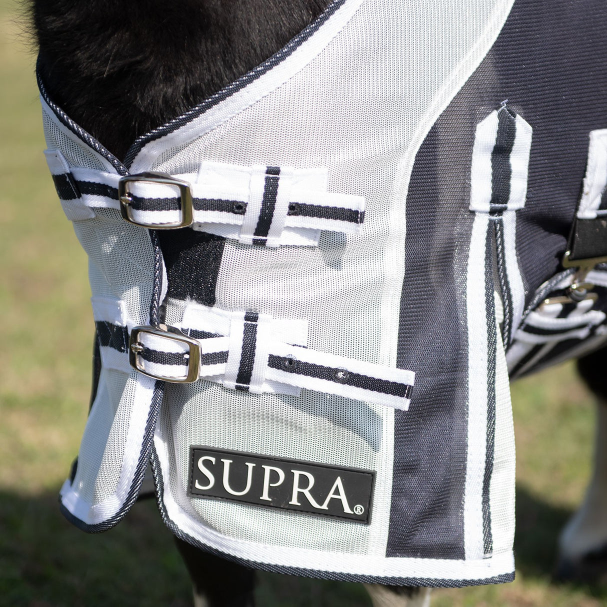 Supra Miniature Fly Sheet W/ Belly Band & Fly Mask