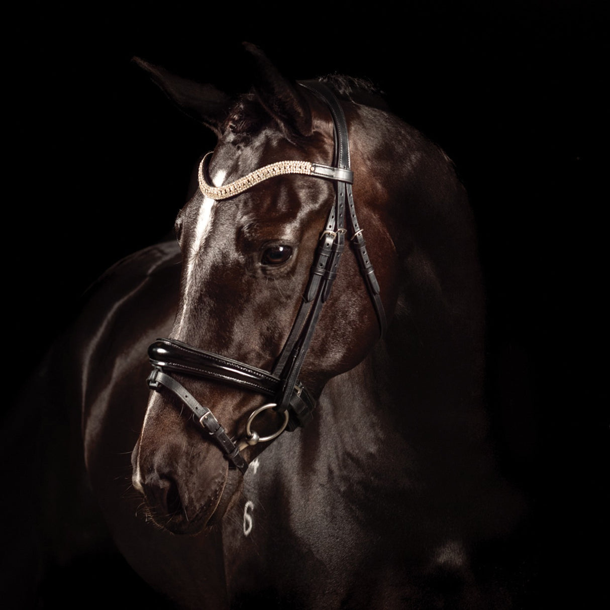 FFE Couture Patent Dressage Snaffle Bridle