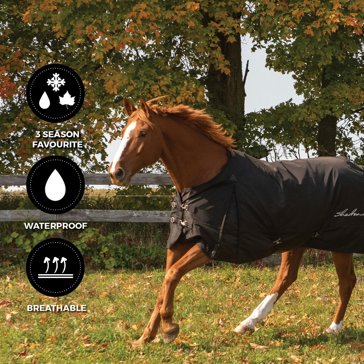 Supra Channel Quilt Stable Blanket 300 g – Greenhawk Equestrian Sport