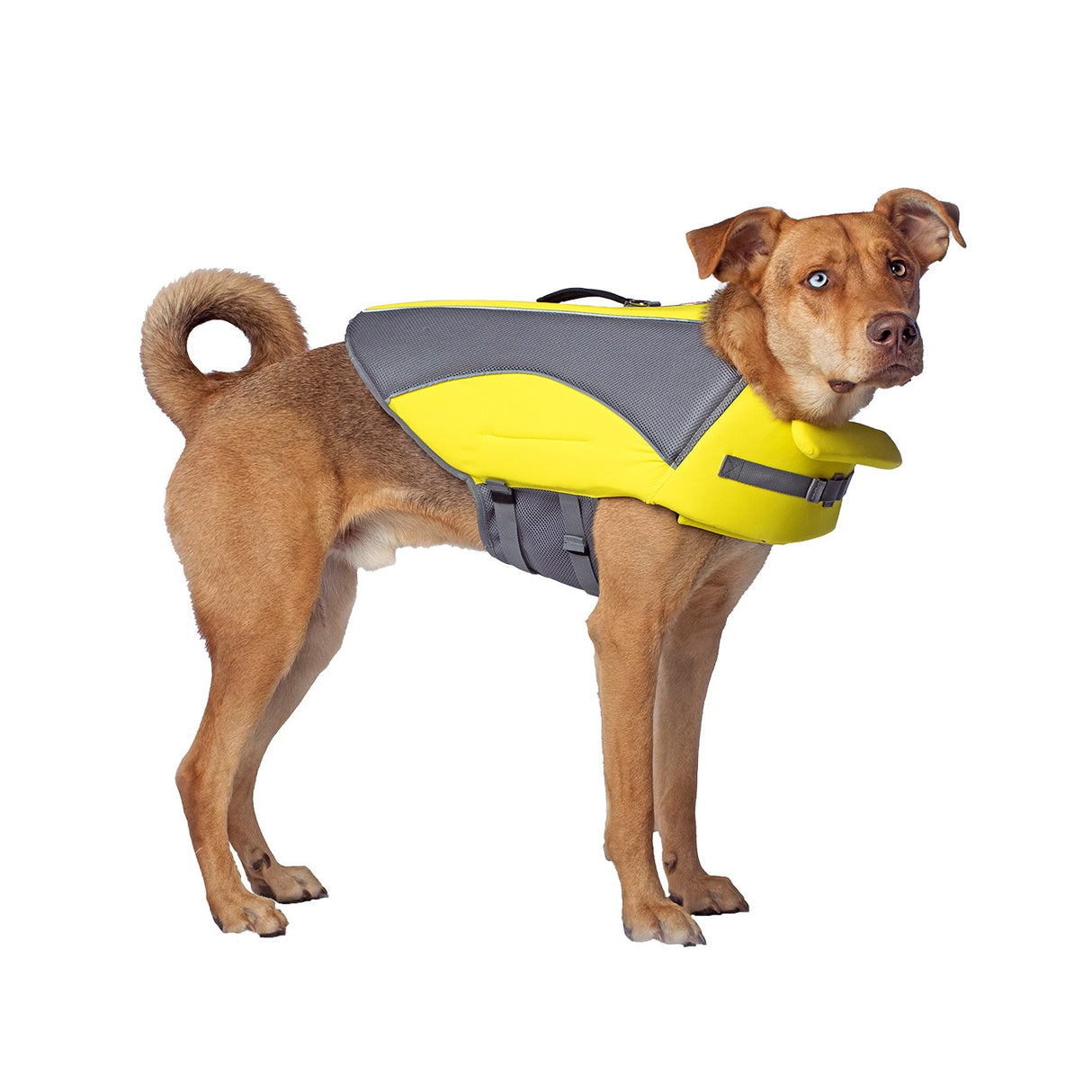 Canada Pooch Wave Rider Dog Life Vest