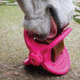 Bizzy Horse Bizzy Lick Apple 1 Kg Horse Treat