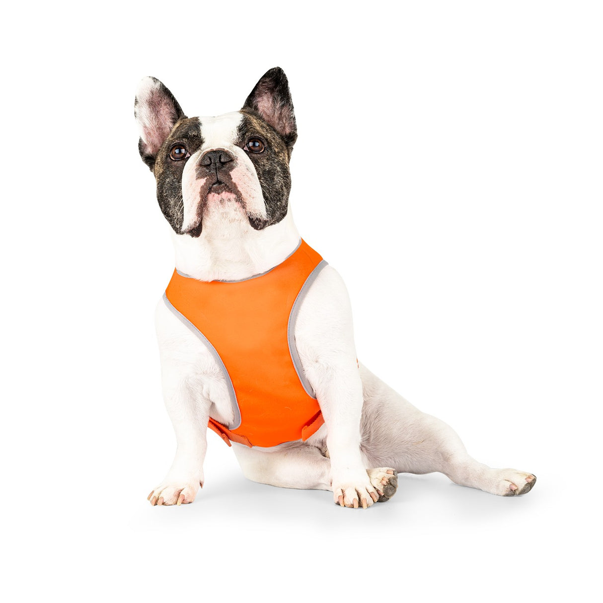 Canada Pooch High Visibility Safety Vest