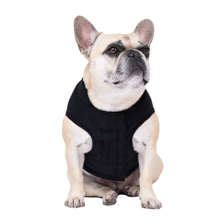 Canada Pooch Ultimate Stretch Vest