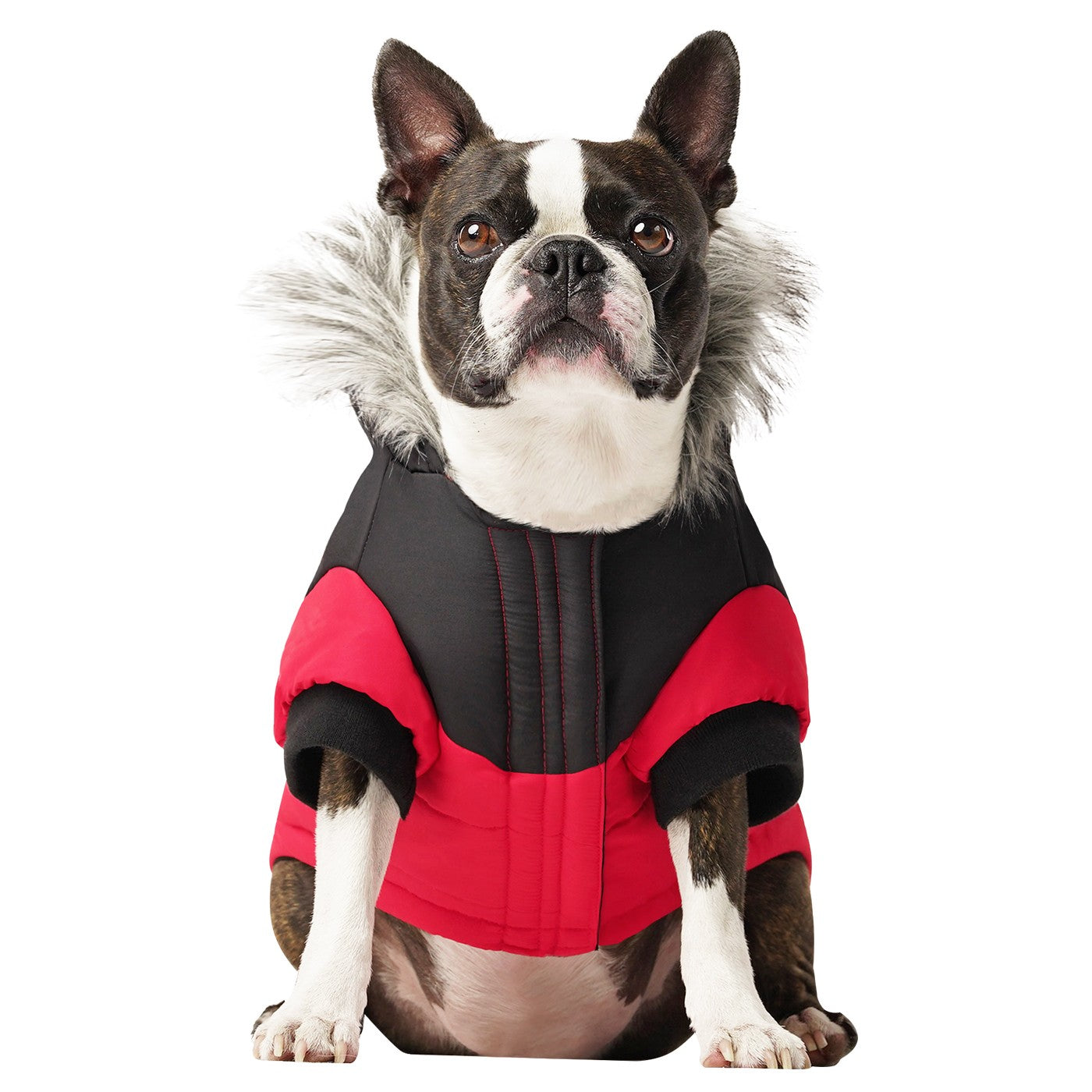 Canada pooch north top pole dog parka