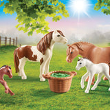 Playmobil Pony Yard I Poneys avec poulains