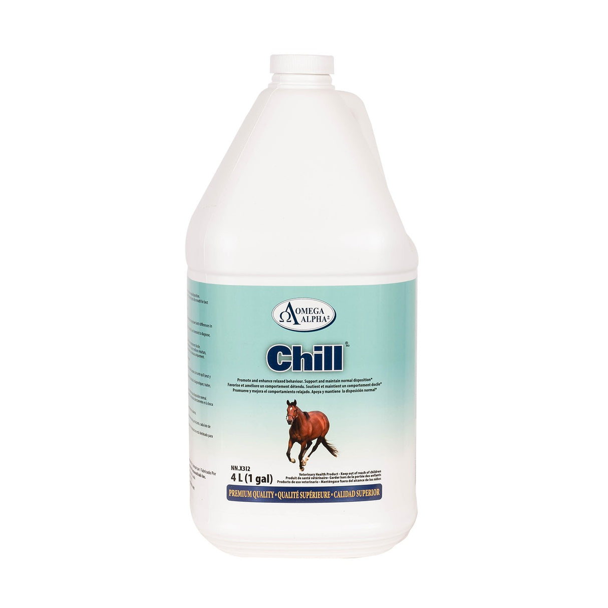 Chills Equestrian - The Horse Exchange
