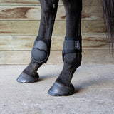 Shedrow Young Horse Fetlock Boots