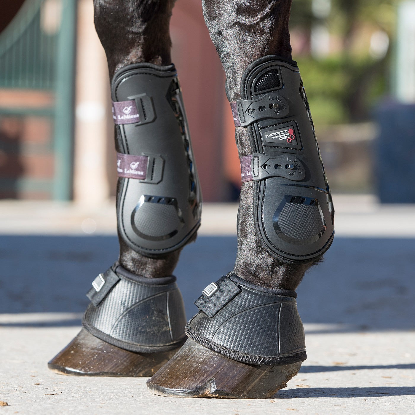 Le mieux tendon sales and fetlock boots