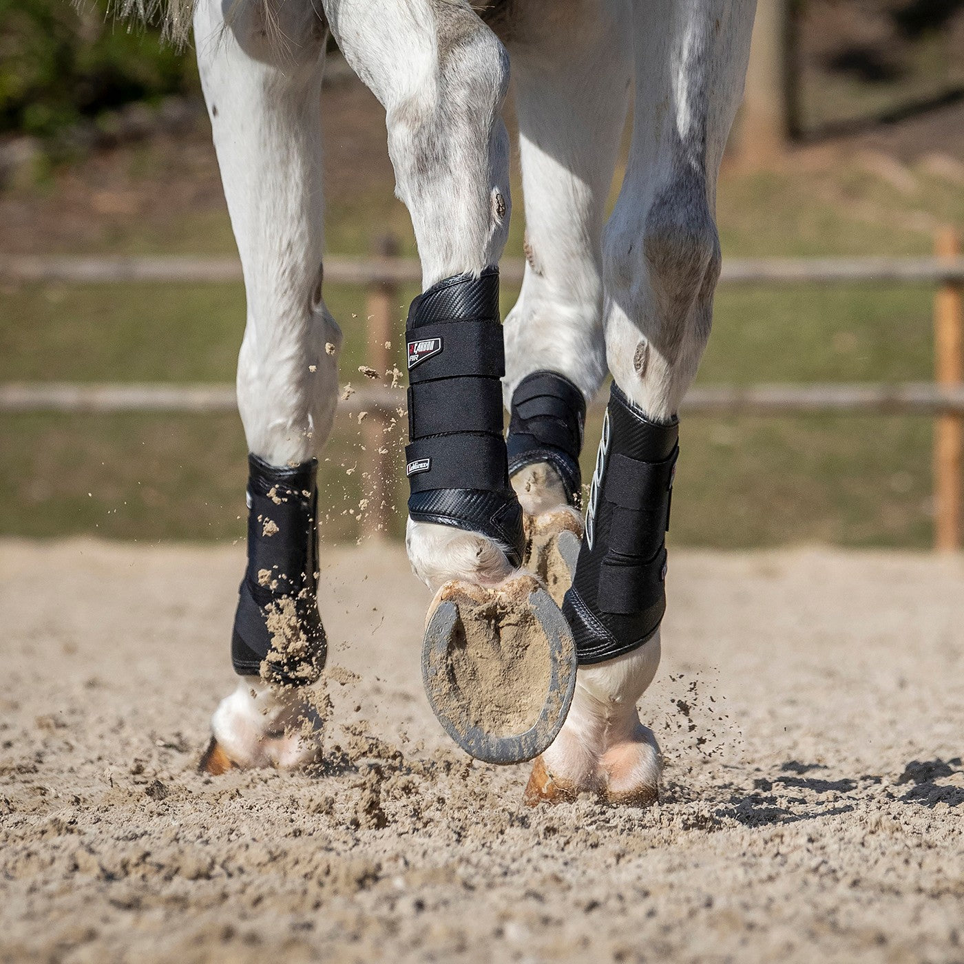 LeMieux Carbon Air XC Hind Boots Greenhawk Equestrian Sport