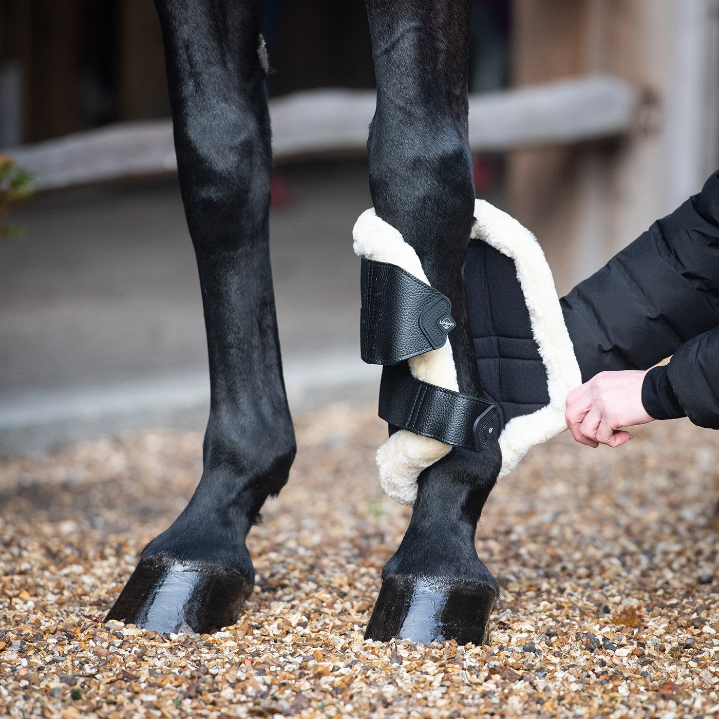 LeMieux Fleece Edged Mesh Brushing Boots – Greenhawk Equestrian Sport