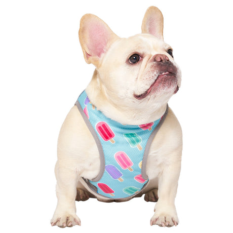 Canada Pooch Chill Seeker Dog Cooling Vest