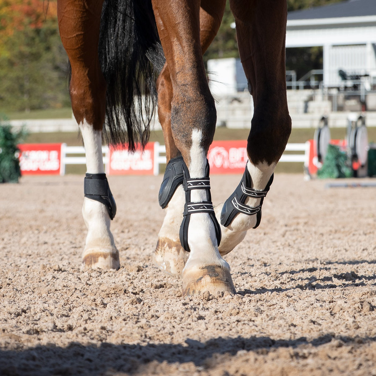 Four White Socks Thermal Boot Socks – Greenhawk Equestrian Sport