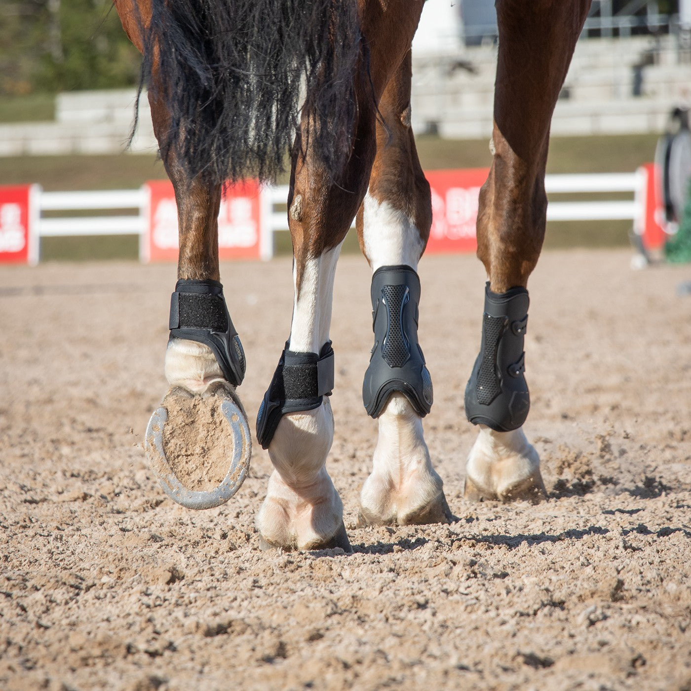 Summit Open Front Tendon Boots Greenhawk Equestrian Sport