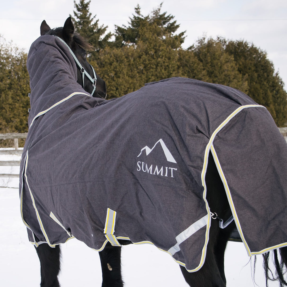 Stable Blankets, Sheets, Coolers & Liners – Euro Equestrian