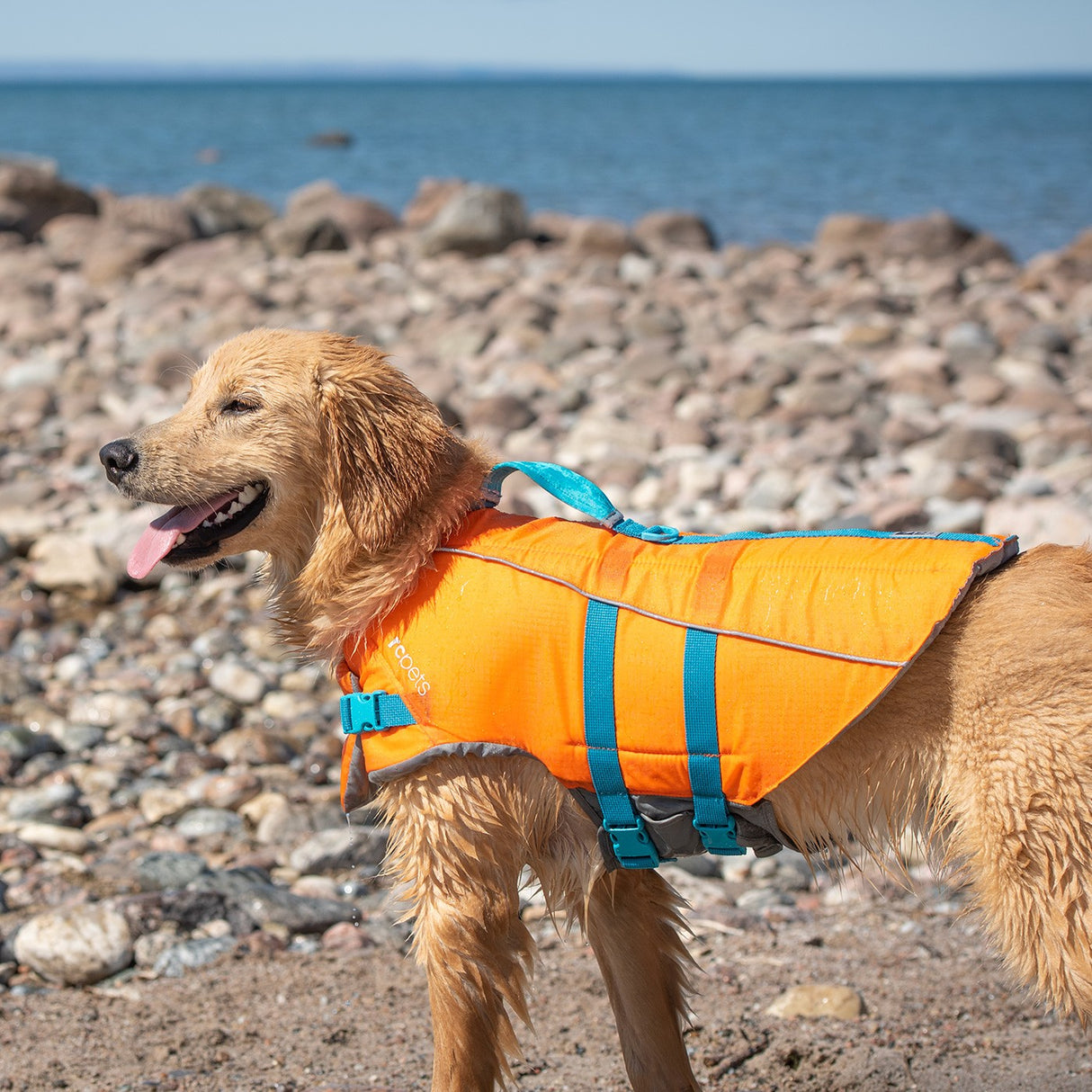 Gilet de sécurité à l\'eau et de sauvetage pour chien en mer
