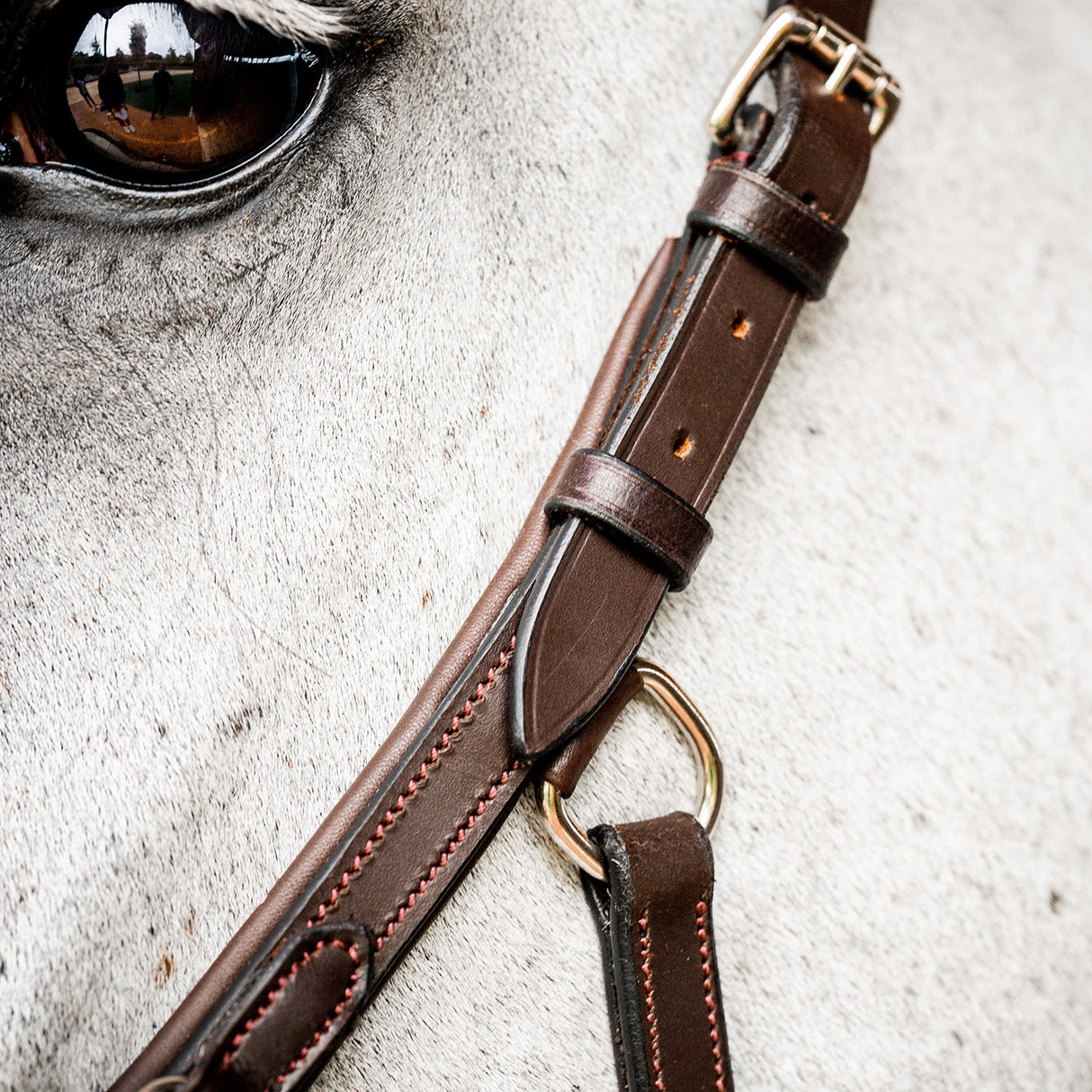Rambo Micklem Deluxe Competition Bridle W/ Reins