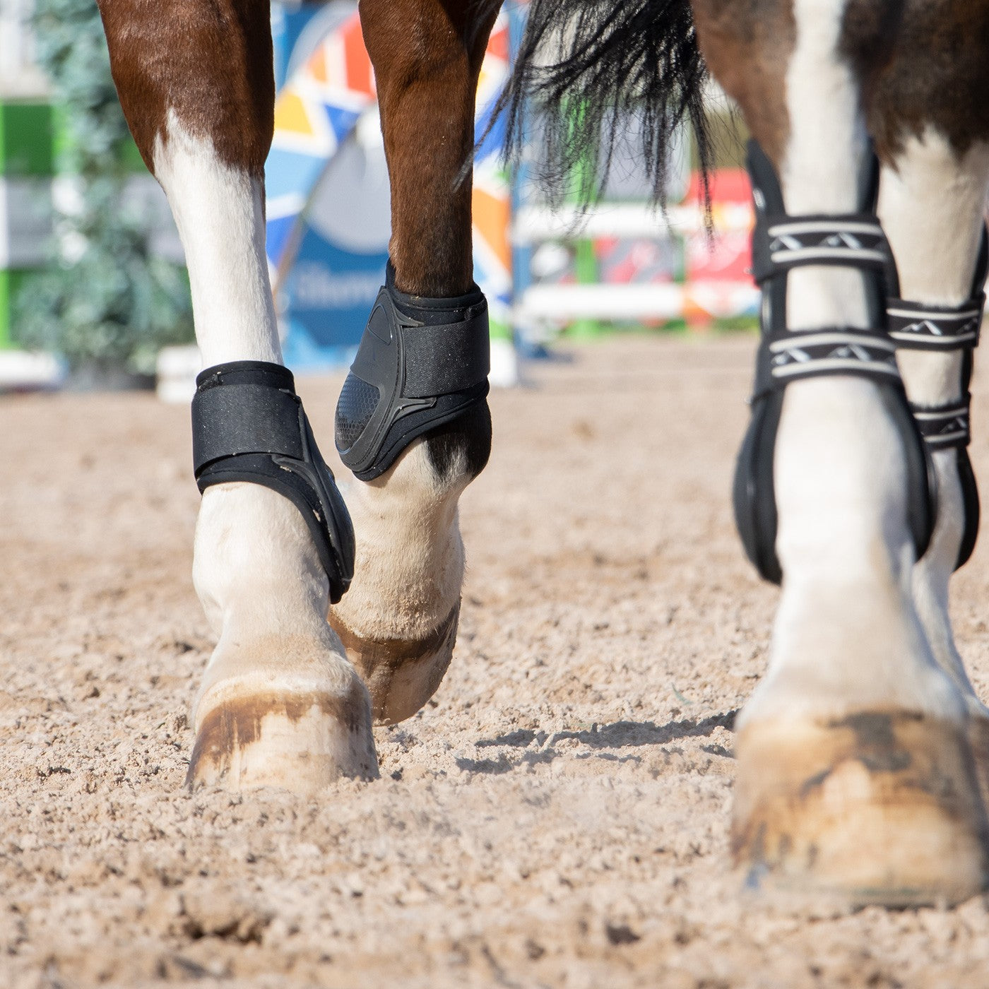 Hind 2025 fetlock boots