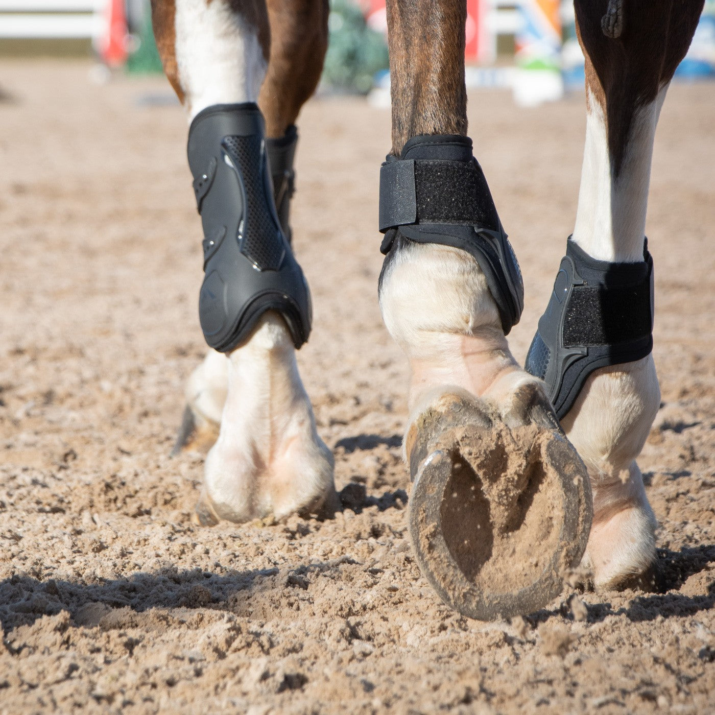 Hind brushing clearance boots