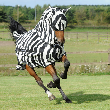 Masque anti-mouches régulier Bucas Zebra